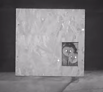 Des nouvelles de nos chouettes effraies Drômoises